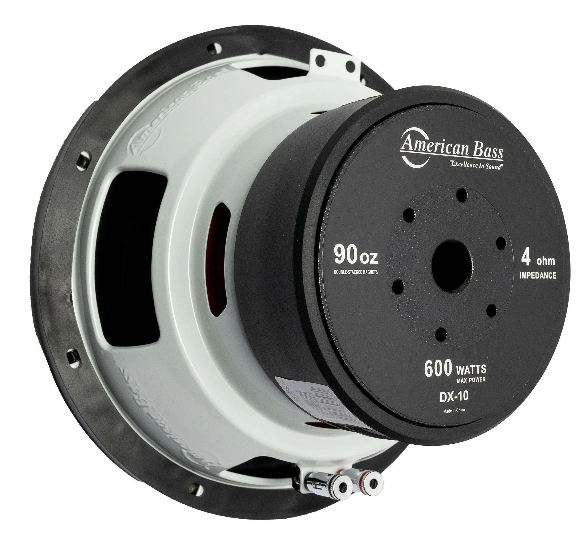 Power Pack: 2 DX 10 Subwoofers + VFL Hybrid 1900.1 Amplifier - Image 5