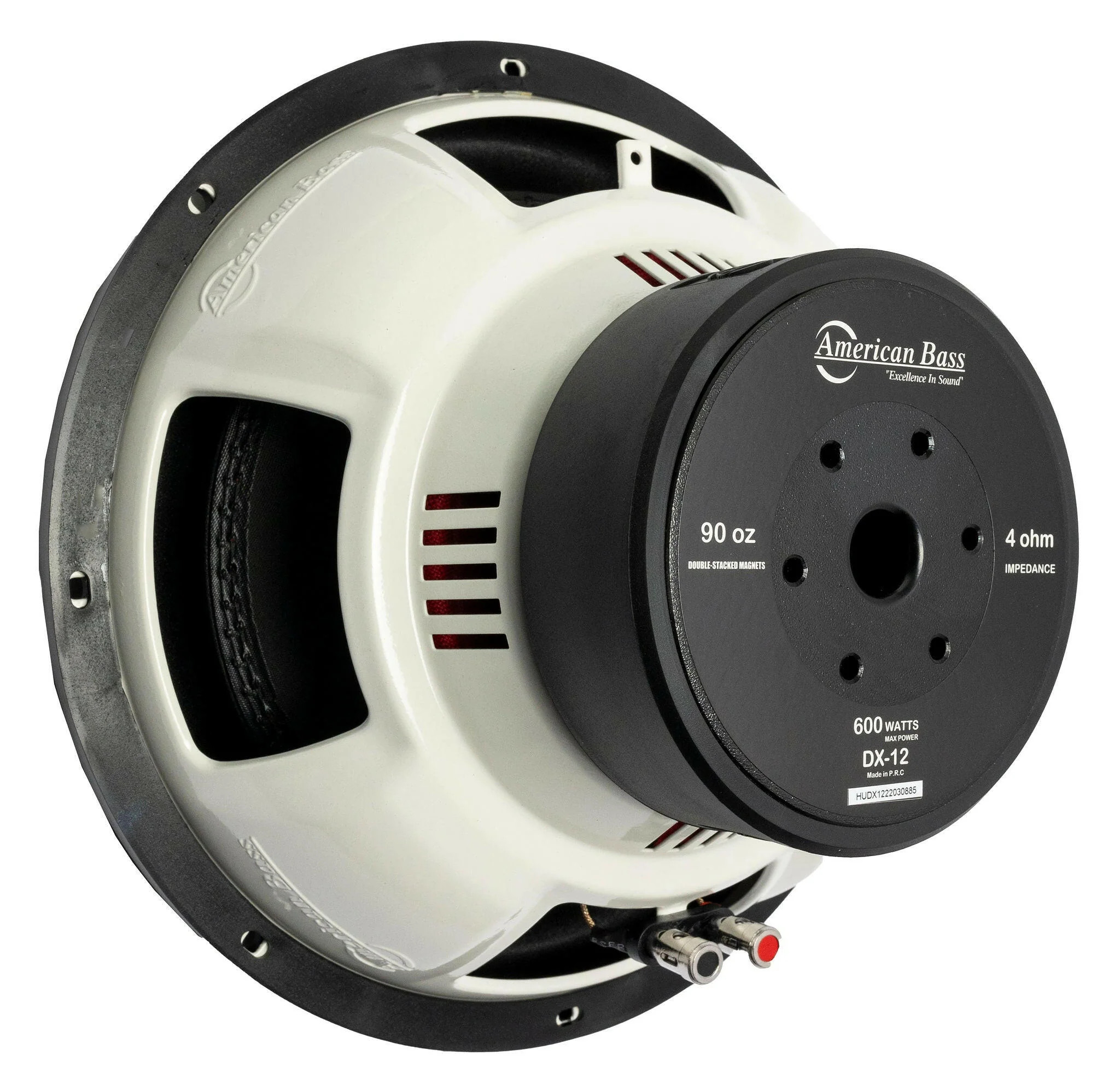 Power Pack: 2 DX 12 Subwoofers + VFL Hybrid 2800.1 Amplifier - Image 3