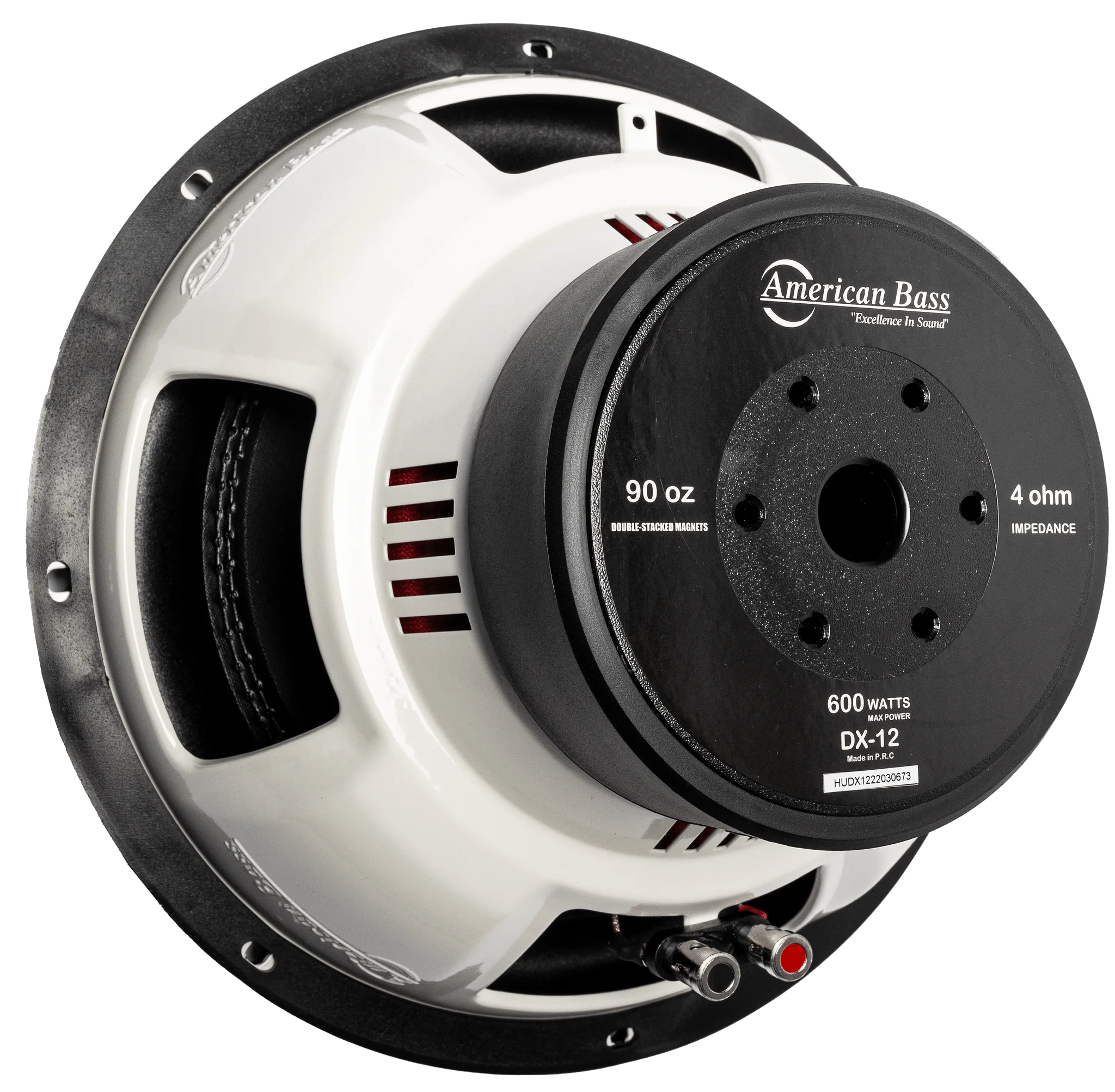 Power Pack: 2 DX 12 Subwoofers + VFL Hybrid 2800.1 Amplifier - Image 4