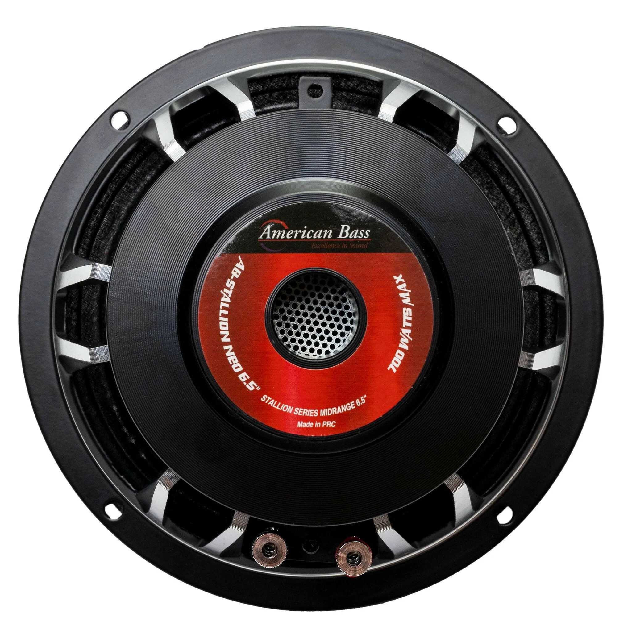 Stallion 6.5″ Midrange Speaker | 350 Watts - Image 5