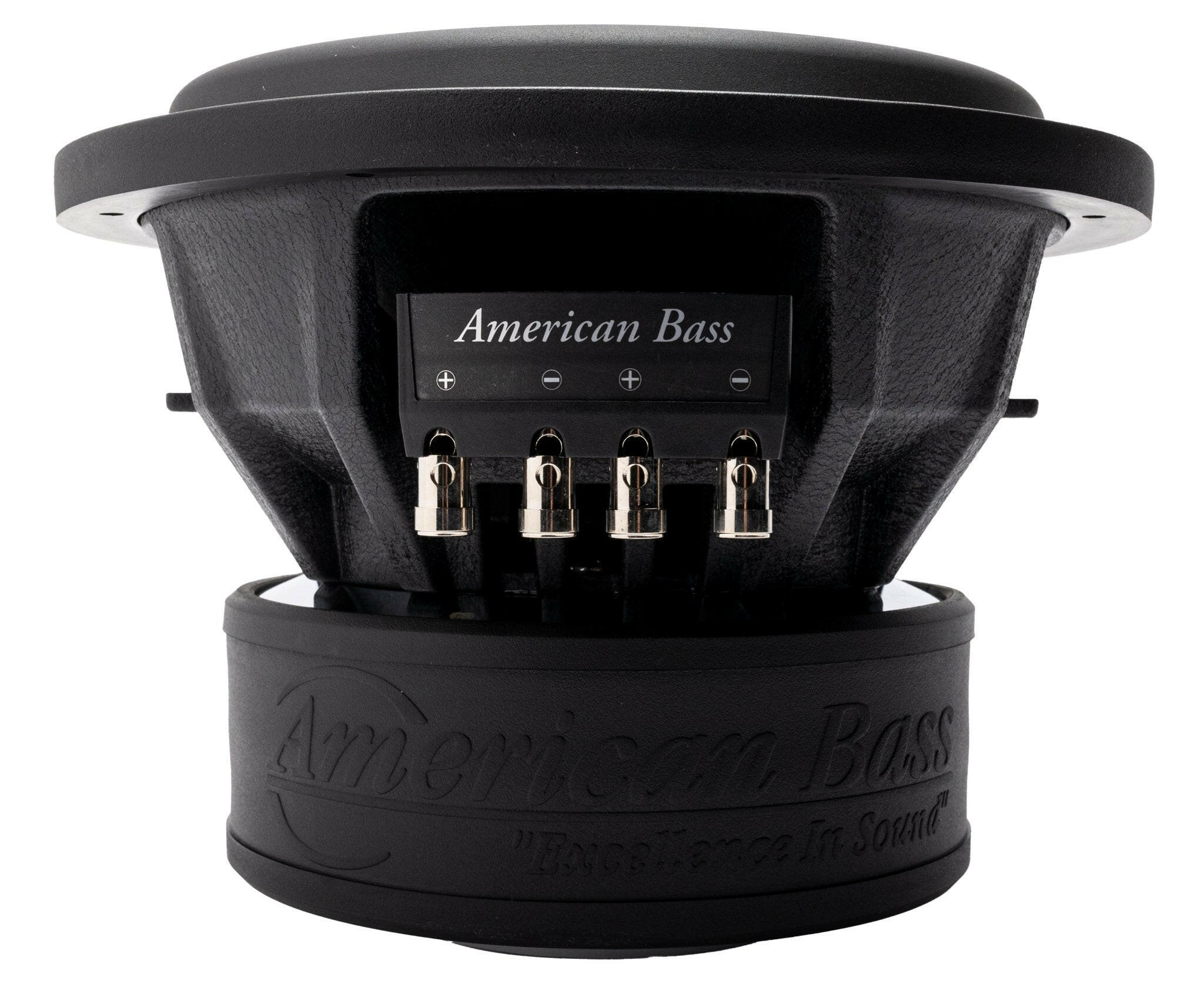 XR 10″ Car Subwoofer | 1000 Watts RMS | Dual Voice Coil 2 Ohm or 4 Ohm - Image 3